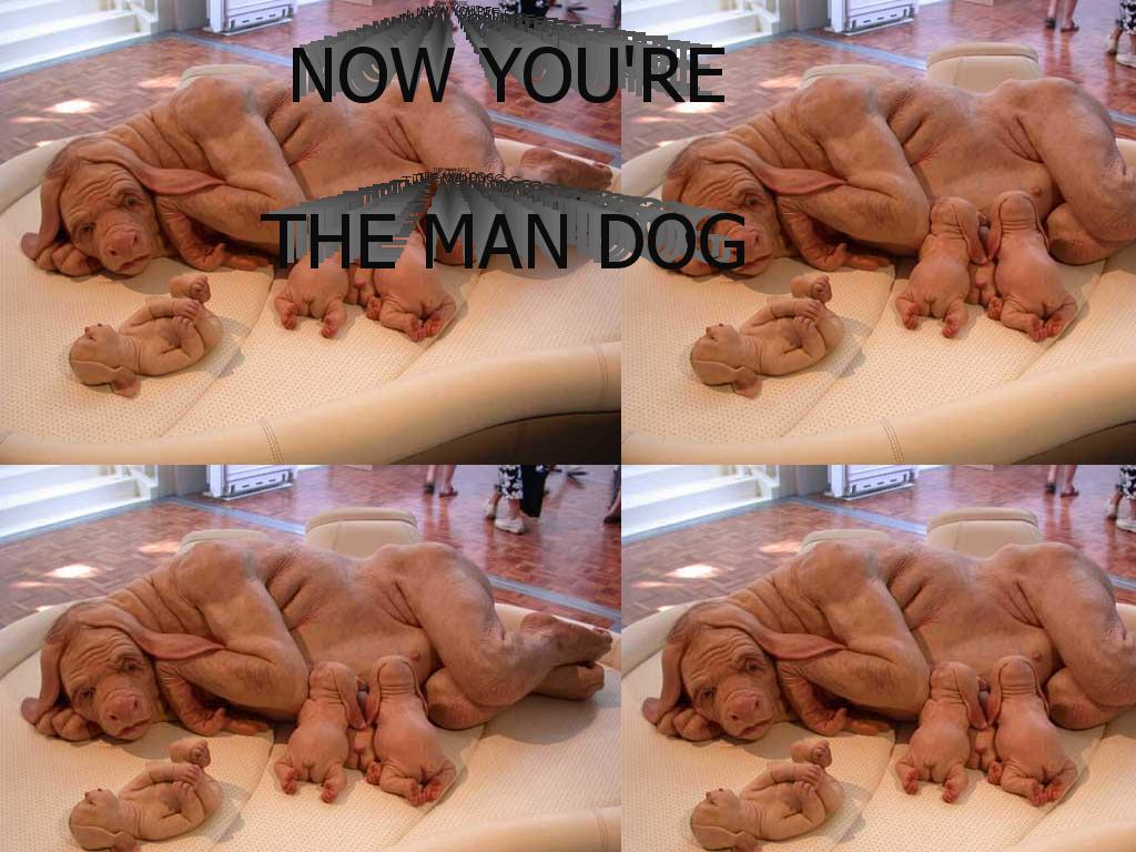yourethemandog