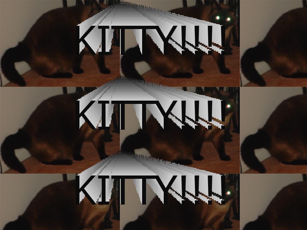 kittycd