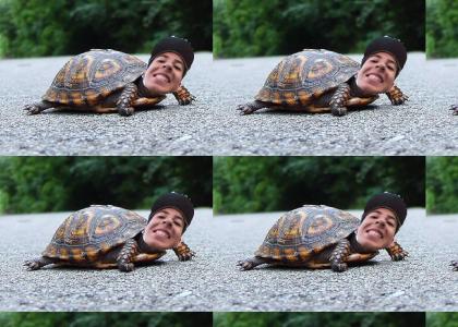 Turtle Thug!