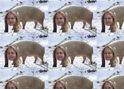 Pig women in the snow