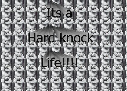 Its a Hard knock Life!