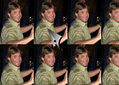 Steve Irwin...