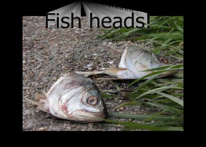 fish heads