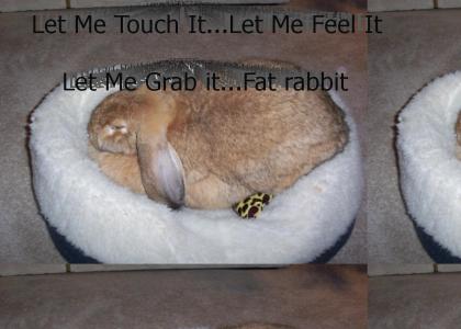 Let Me Grab It-That Fat Rabbit