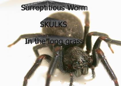 Surreptitious Worm