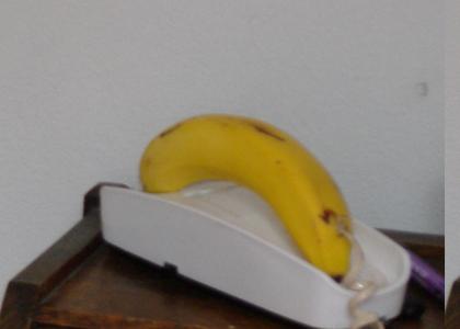 My banana phone