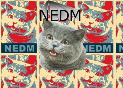 NEDM redux 2.0