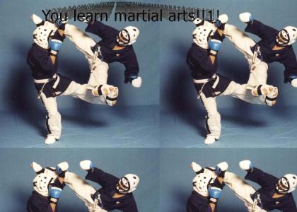 YOU LEARN MARTIAL ARTS