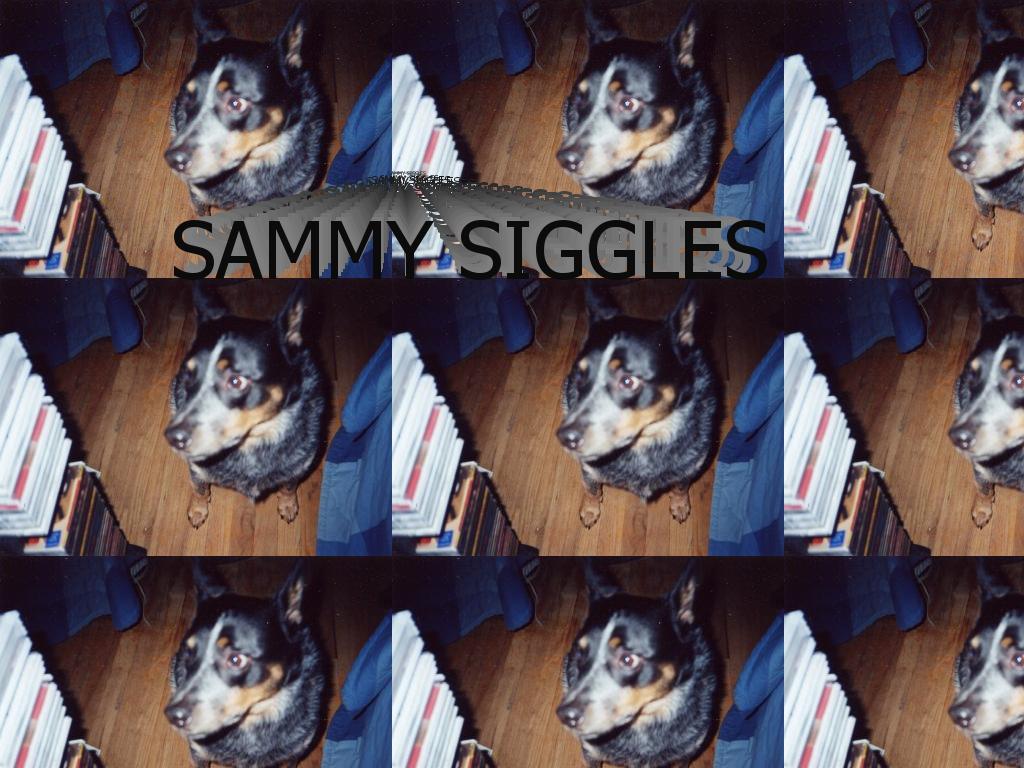 sammysiggles