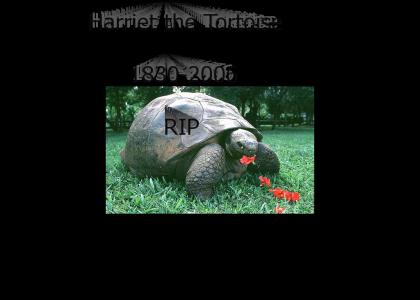 RIP Harriet the Tortoise