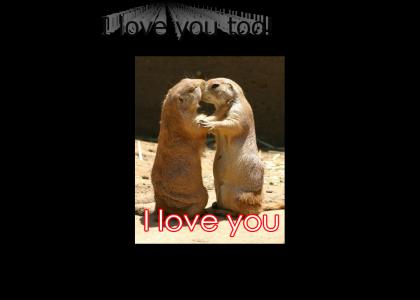 I love you too!