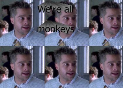 We're all monkeys