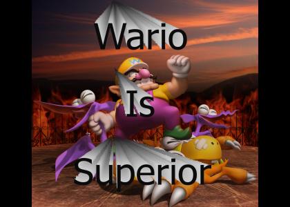 Wario is superior