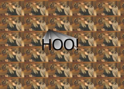 HOO