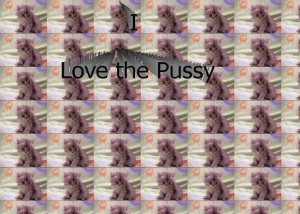 love the pussy-DJ-Assult