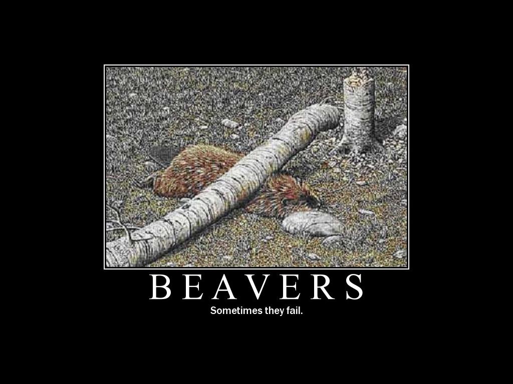 beaversfail