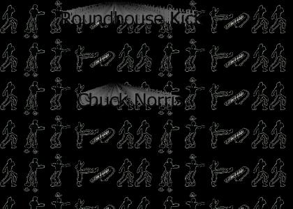 Roundhouse Kick