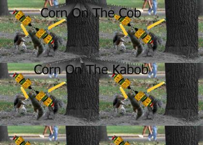 Duel of Squirrels (Now With Corn!)