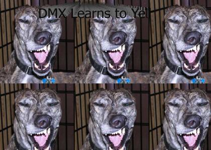 DMX Learns to Yell