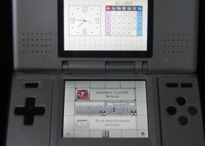 german DS stares into your soul