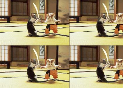 Meow Meow Samurai Kittys