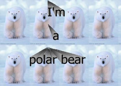 polar bear end
