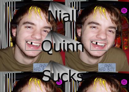 Niall Quinn Sucks