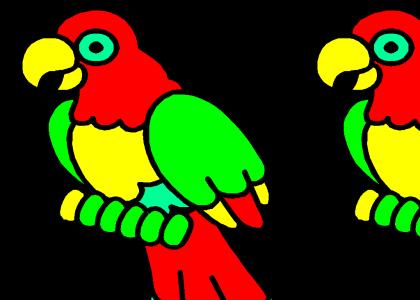 disco parrot