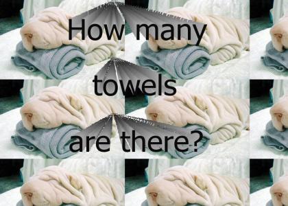 Guess how many towels there are