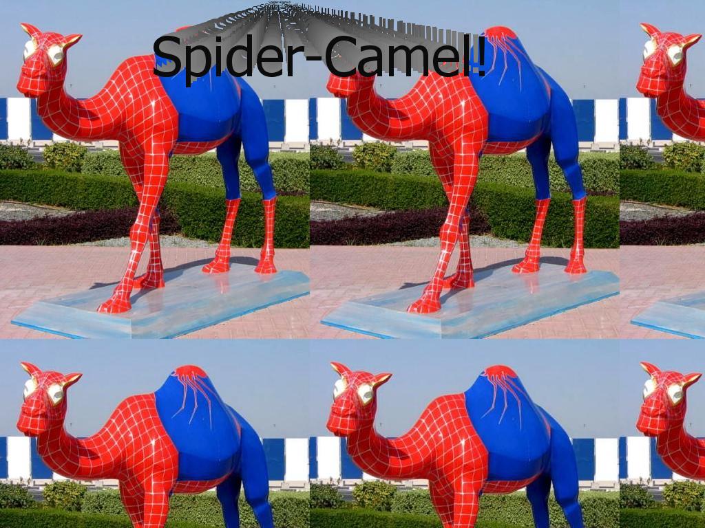 spidercamel