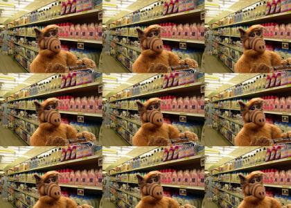 A Shoppin' Alf dew