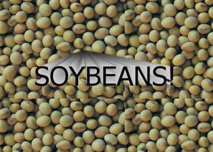 SOYBEANS!