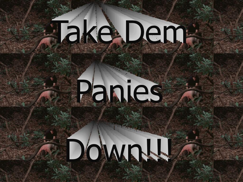 paniesdown