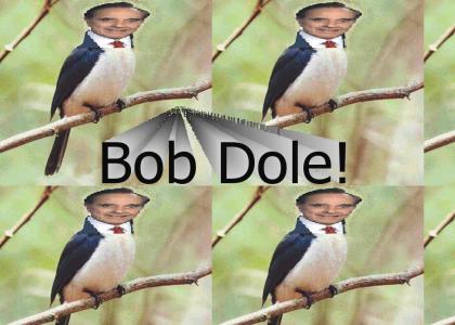 Bob Dole!