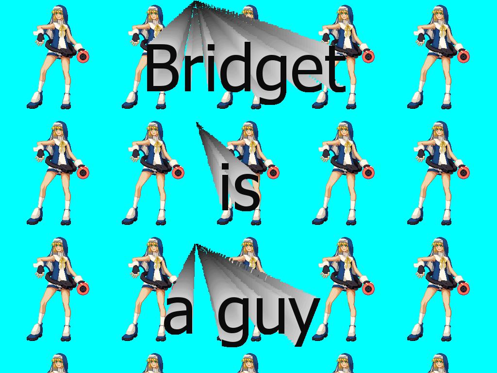 Bridgetisaguy