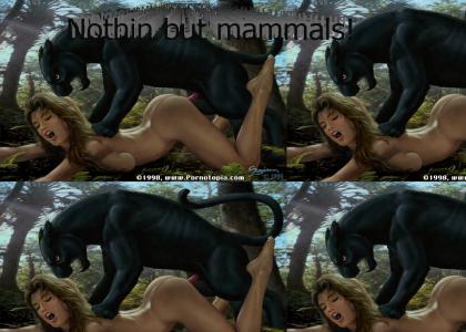 Aint Nothing But Mammals