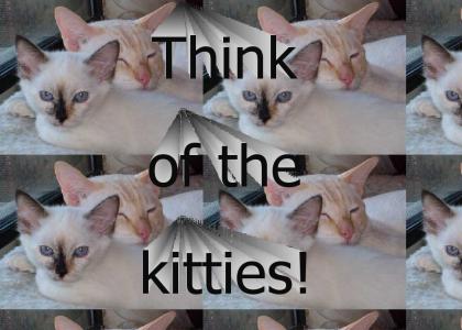 Vote 5 or the kittens get it!
