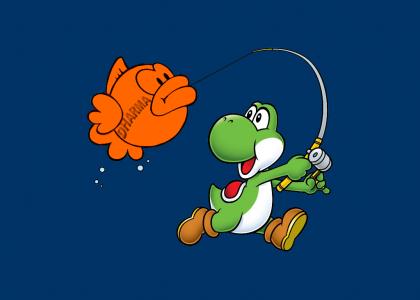 Yoshi got himself a Fish Biscuit