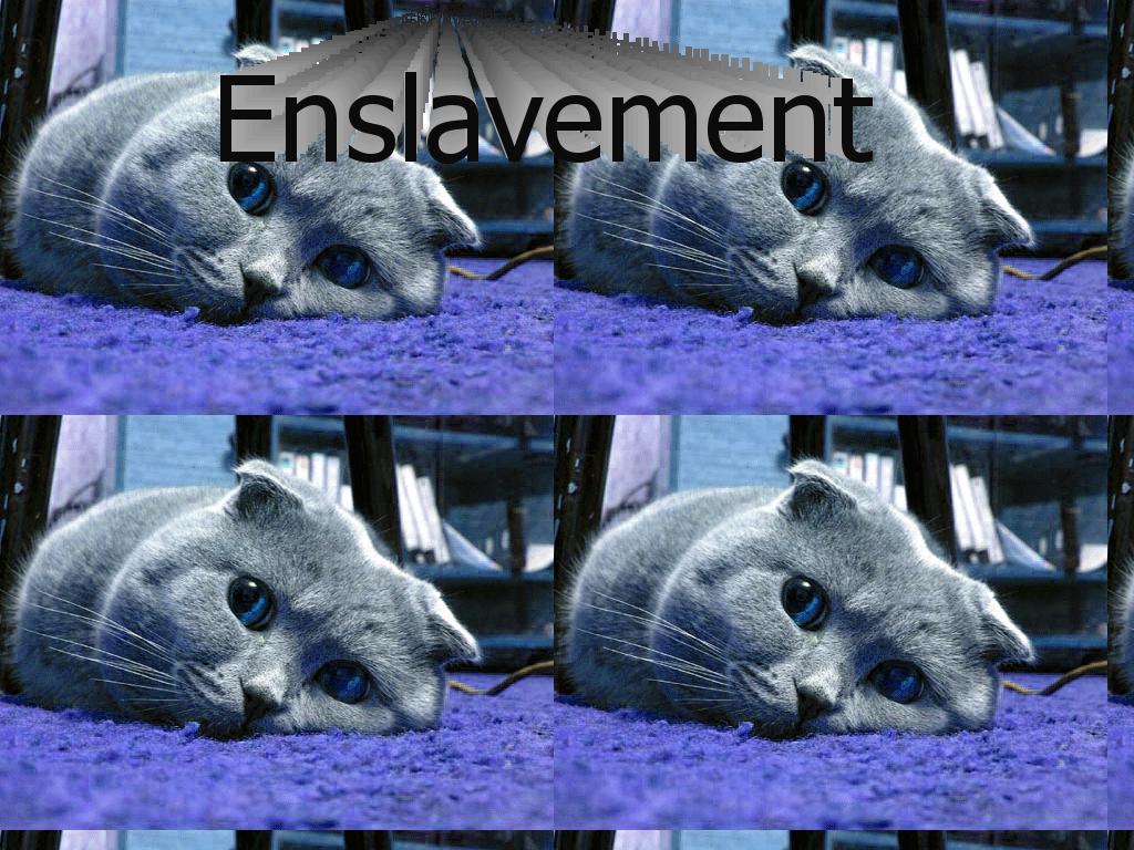 happycatenslaved