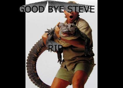 we will miss steve