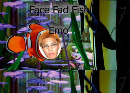 Face Fad Fish (Emo)