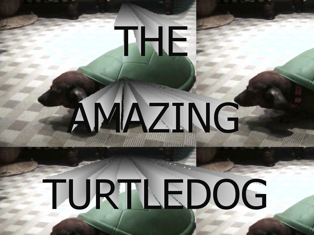 turtledog