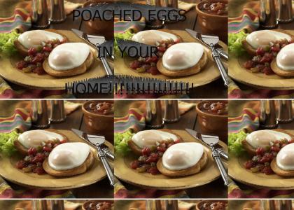 POACHED EGGS IN YOUR HOOOOOME
