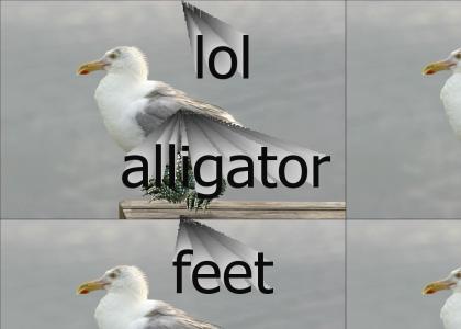 If Seagulls had alligator feet...