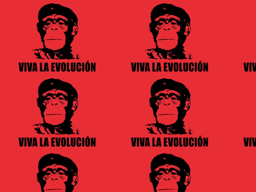 vivalaevolucion