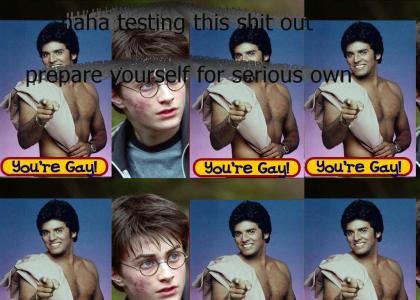 Harry Potter is gay dave!!!!!!