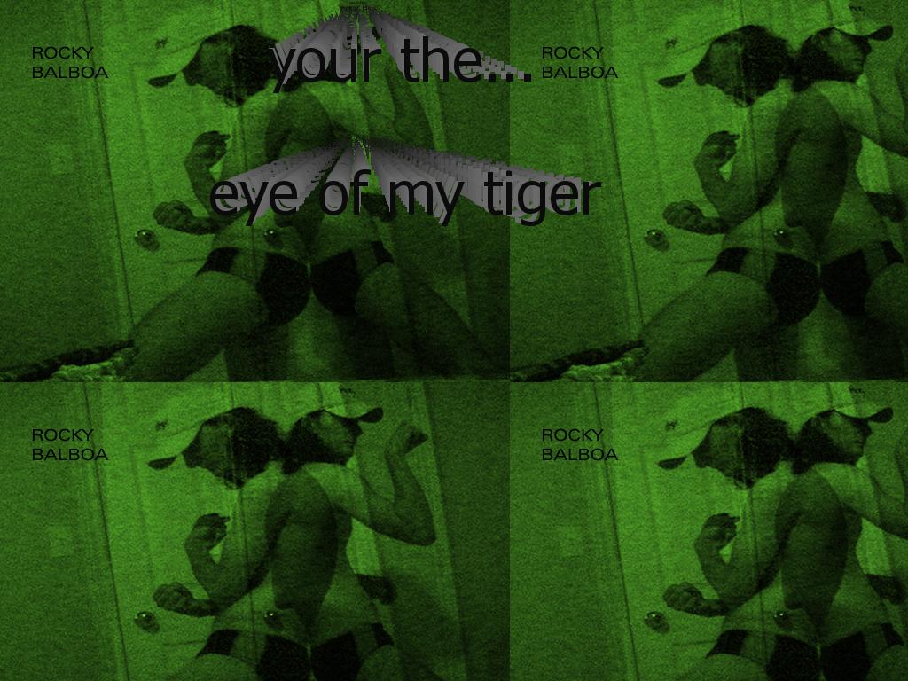 eyeofmytiger