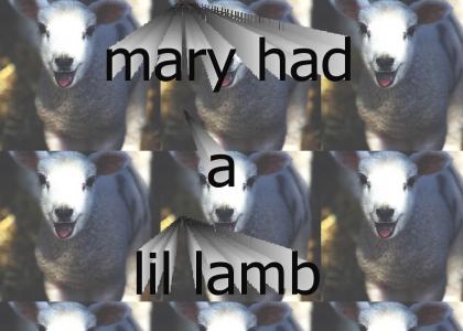mary had a little lamb and bingo was its name-o