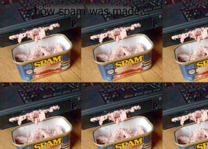 how spam came on the internets