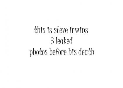 REAL photos of Steve irwin's life before death.